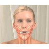 Facial Exercise Device