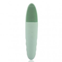 Electrical Vibrating Cleansing Face Brush