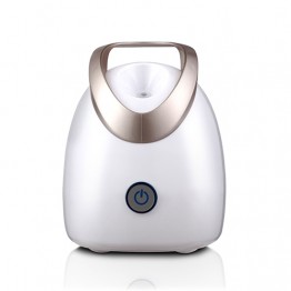 Ionised Steam Facial Sauna