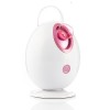 Portable Facial Steamer