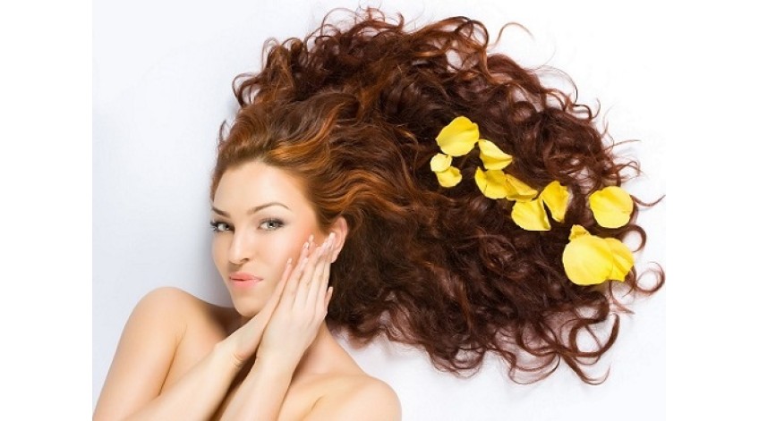 Tips  For  Buying a Hair Straightener Or Styler 